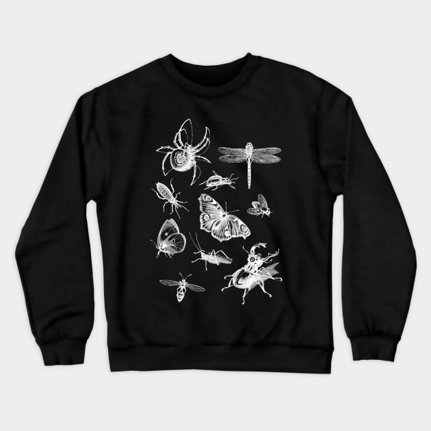 Dramabite Vintage retro scientific bugs insect collection entomologist Crewneck Sweatshirt by dramabite